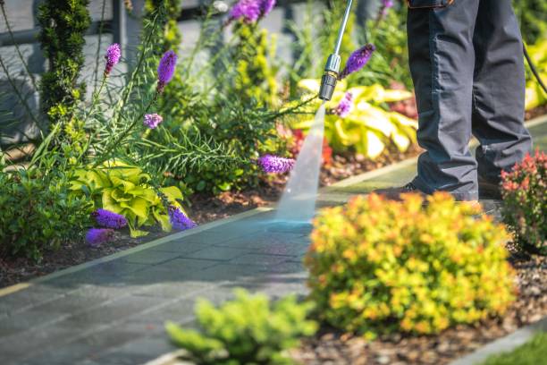 Best Post-Construction Pressure Washing  in Panacea, FL